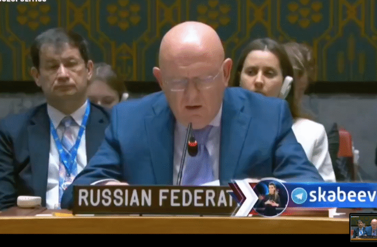 During ceasefire with Russia, Ukraine must halt mobilization and West must stop supplying weapons–Nebenzya